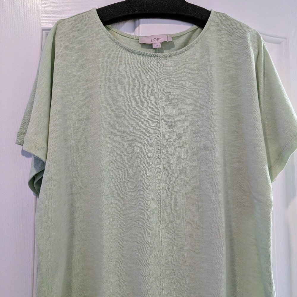 NWT Loft Short Sleeve Sweater